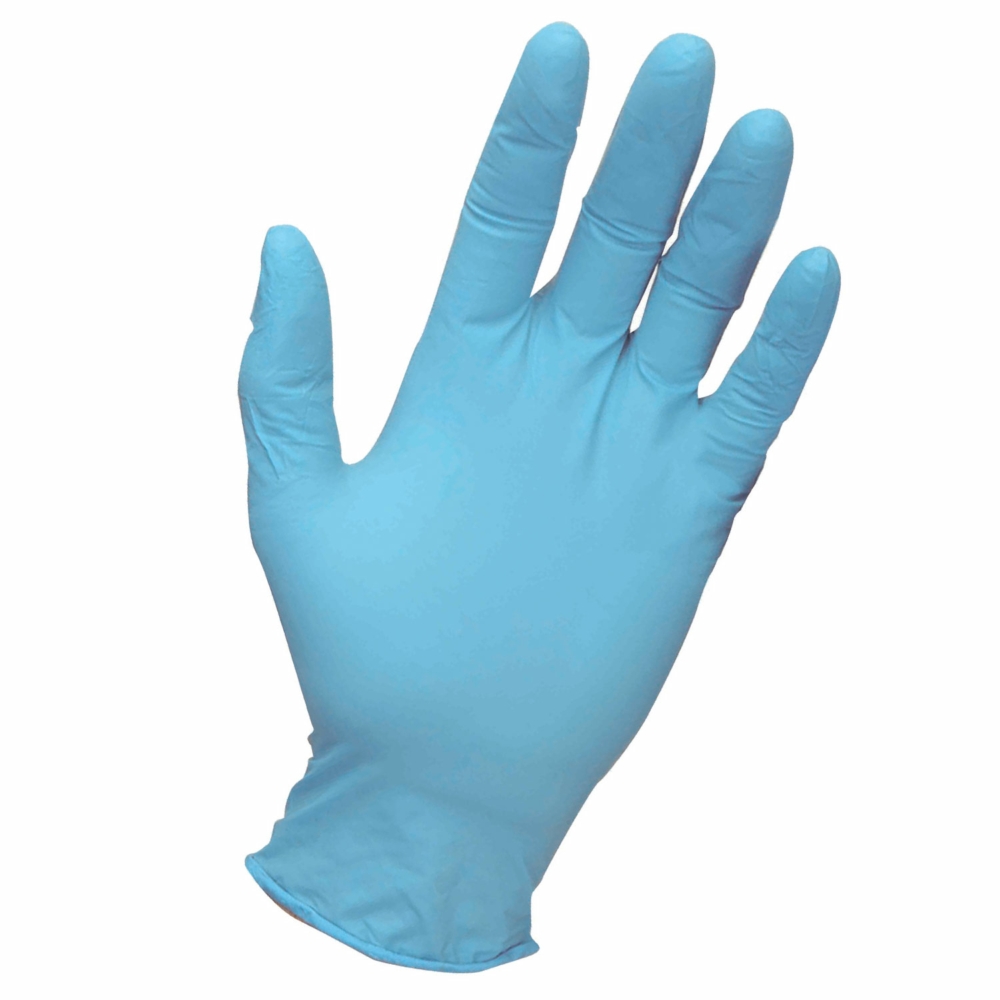Vinyl Gloves Powdered Blue Large 100 Pack