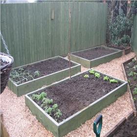 Raised Garden Beds Tanalised Timber - 1.8m (6ft) x 1.8m (6ft)