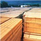 Scaffolding Boards - 13FT (3.9m) x 25 Pack. 